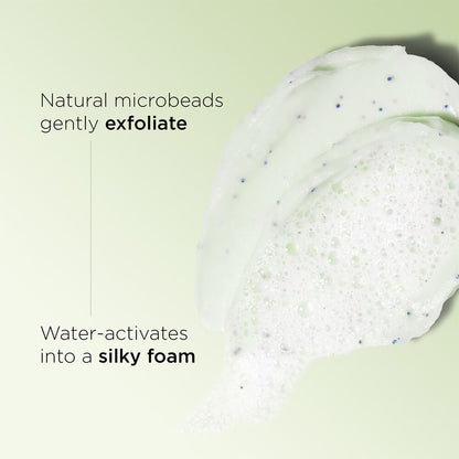 Purifying Gentle Foaming Face Cleanser for Combination to Oily Skin